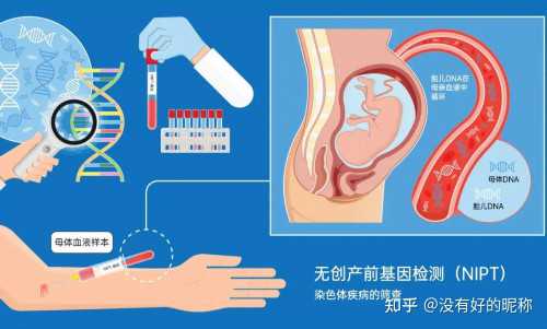 41岁女的正常有多少个卵泡？,供卵代生多少钱